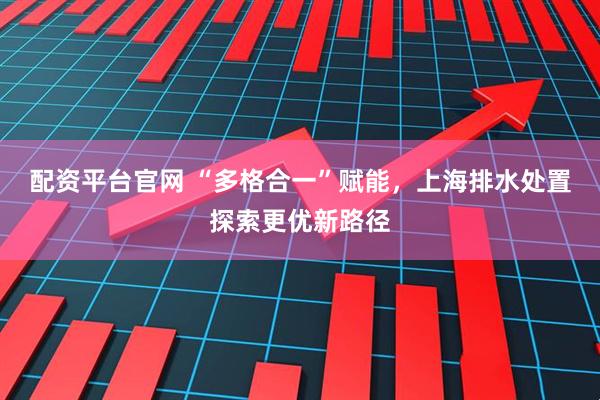 配资平台官网 “多格合一”赋能，上海排水处置探索更优新路径