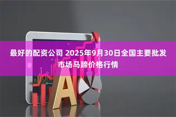 最好的配资公司 2025年9月30日全国主要批发市场马蹄价格行情