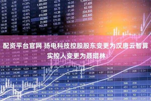 配资平台官网 扬电科技控股股东变更为汉唐云智算 实控人变更为聂琨林
